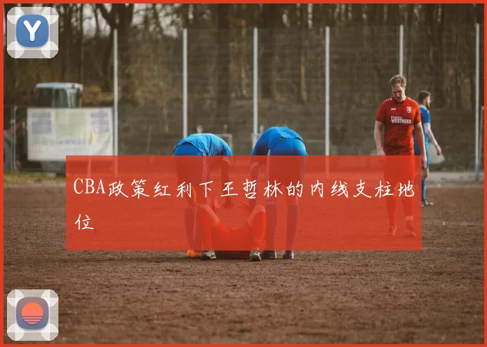 CBA政策红利下王哲林的内线支柱地位