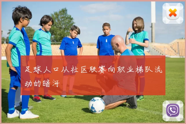 足球人口从社区联赛向职业梯队流动的暗河