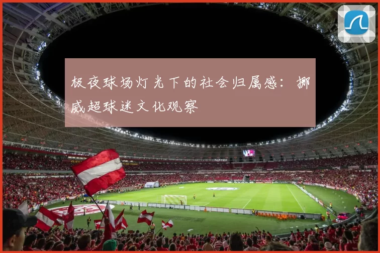 极夜球场灯光下的社会归属感：挪威超球迷文化观察