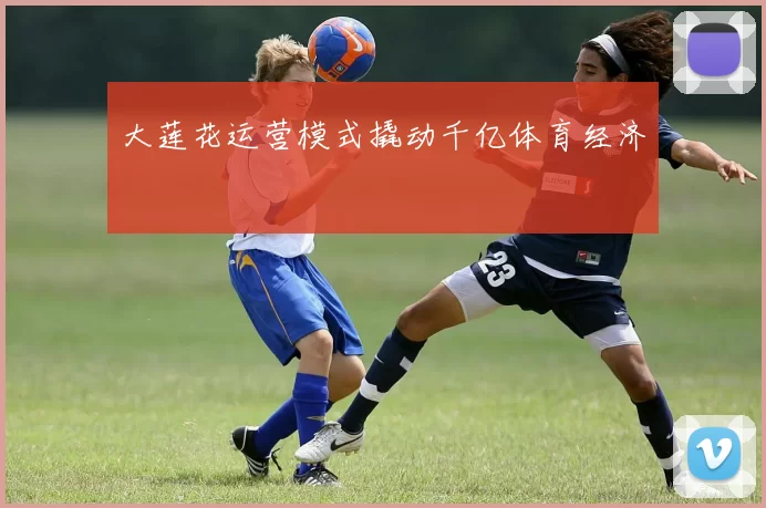 大莲花运营模式撬动千亿体育经济