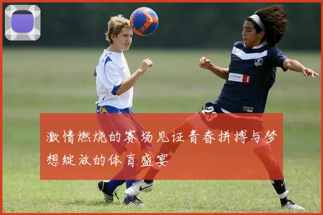激情燃烧的赛场见证青春拼搏与梦想绽放的体育盛宴