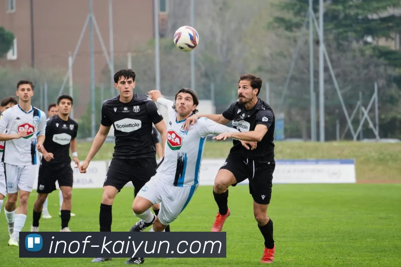 App Interface Preview