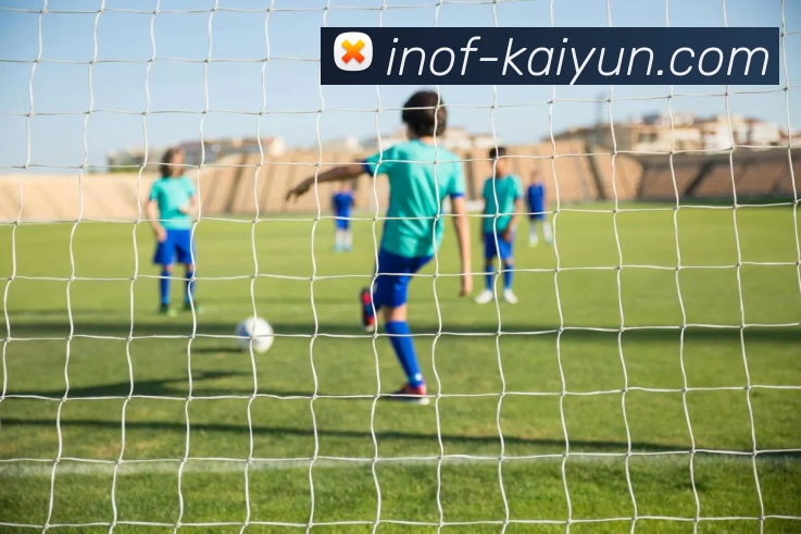 开云kaiyunAPP 封面图